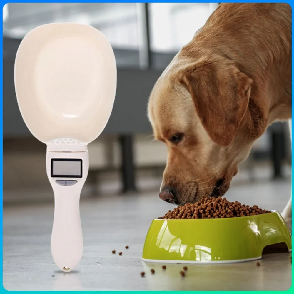 Smart Spoon Scale for Kitchens