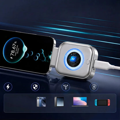 Smart Auto Charger Plug